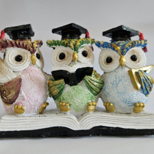 공부하는 부엉이